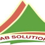 شركة الحلول العربية