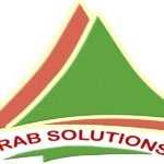 شركة الحلول العربية