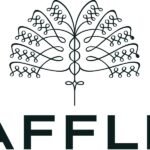 فنادق ومنتجعات رافلز‏