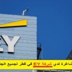 شركة ‏EY‏